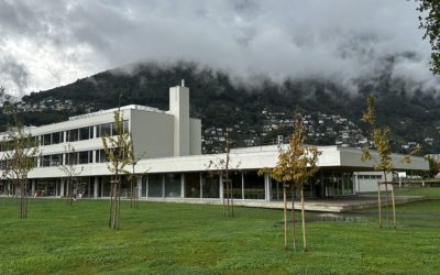 «Bollettino» numero 29