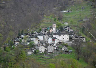 I Codoni di Muggio