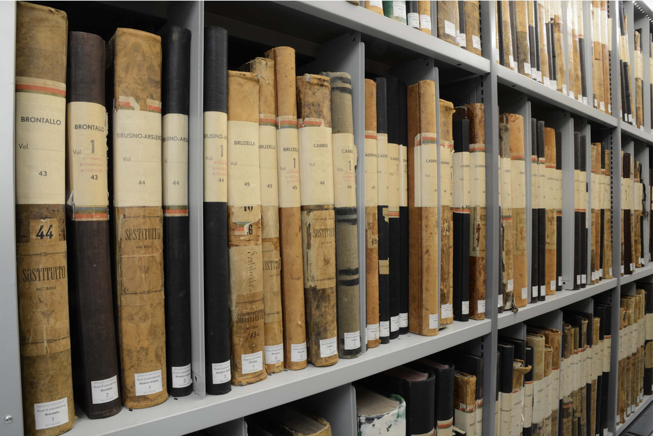 Archivio_Ruoli_popolazione